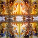 036 Foxwood Tales - 3-lagig - Molca - Brian Paterson